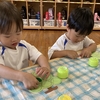 🍇実りの秋🍇