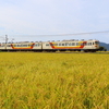 初秋の新潟115系