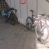 2024走り初め