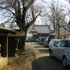 原宿とかけて