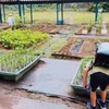 いけるか？プールの誘惑・・