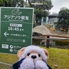 #上野動物園#アルン#熊