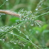 雨のバス停で待つと