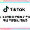 TikTok動画をダウンロードできない理由｜ID/ロゴなしでTikTok動画を保存する方法