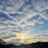 大晦日はアンの散歩で暮れて