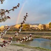 雪雲に虹　🌈