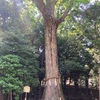 義仲寺へ