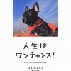 嫌われる事にびびってたらおもしろ人生歩まれへんで！「人生はワンチャンス!」