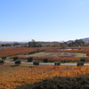 Sonoma & Napa 2015/11