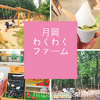 日本一長いブランコを発見！新潟県新発田市の公園「月岡わくわくファーム」