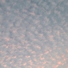 ひつじ雲を見上げ、今日も明日も生ききろうと思う