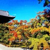 京都ぶらり　本日の一枚　初秋の京都南禅寺