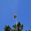 いつもの探鳥地のち安曇野へ