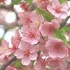 思いがけず・・
