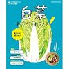 白菜の栄養について調べてみました