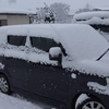 田舎の朝ごはんと雪景色