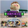 【🌐まとめ235回目🎉】🚩宮崎外食日記‼️⭐️1171〜⭐️1175❇️「ALOCCA gelato」❇️「食道家 離 伸」❇️「シュガーガーデン」❇️「AC880Cafe」❇️「りんごの木」