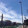 『夏の始まり、雑感』