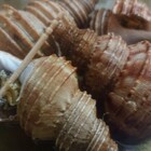 板前レシピ つぶ貝 捌き方 刺身の切り方 ちっぴぃクッキング 板前レシピ つぶ貝 捌き方 刺身の切り方 ちっぴぃクッキング