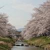 【観光】いまさらながら桜観光記～2018年福島県の桜前線～