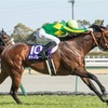 スプリンターズS全頭診断2️⃣