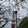 東京タワーに行った