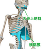 子供の呂律が回らない。
