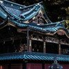 駿府城・静岡浅間神社・三保松原を歩いた