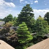 旅の思い出から導かれる道