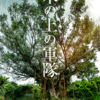 木の上の軍隊