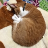 10月16日(金)のつぶやき その２