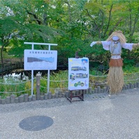 １１月の赤塚植物園、その１。