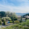 【山の上にある湖】城山湖にある穴場的絶景スポットを紹介‼️