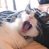 カメラ日和。