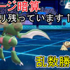 【ダメージ暗算】乱数勝負/ダメージ暗算入門パーティー【ポケモン剣盾】