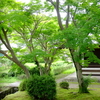 勝俣部長の「ため息」４８３４回････二変人