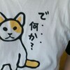 レポート班スタッフとしてRubyKaigi2011に参加しています。