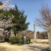 岡山市北区足守 近水園の桜&#127800;