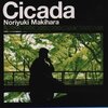 音楽『槇原敬之』Cicada