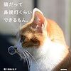 きままな猫たちに癒されよう！ 『猫だって鼻提灯くらいできるもん。』『島ねこぽん』『気ままに猫だもん。』