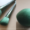 Eigshow Beauty Ecopro Series  12 PCS Tea Makeup Brush Kit Review