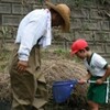 いろんな魚がいるんだね　〜２年・校外学習〜