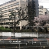 冬のような雨