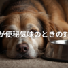 【Q&A】老犬が便秘気味のときの原因と対処法｜腸ケアサプリ「毎日爽快」も紹介