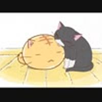 ポヨポヨ観察日記とは アニメの人気 最新記事を集めました はてな