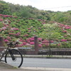 山科大津ライド