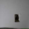 千葉県野田市クローゼット内にコンセントを設置