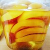 グレープフルーツとレモンの果実酒を解禁