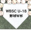 【WBSC U-18野球W杯2023】日本の決勝進出が確定！BS11での生中継情報も！