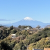 11月の院内研修のご報告